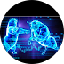 N Bull